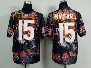 Nike Chicago Bears #15 Brandon Marshall 2014 Fanatic Fashion Elite Jersey